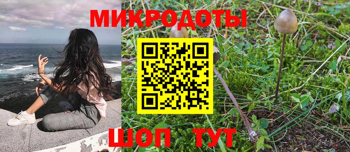 Псилоцибиновые грибы Magic Shrooms Карасук