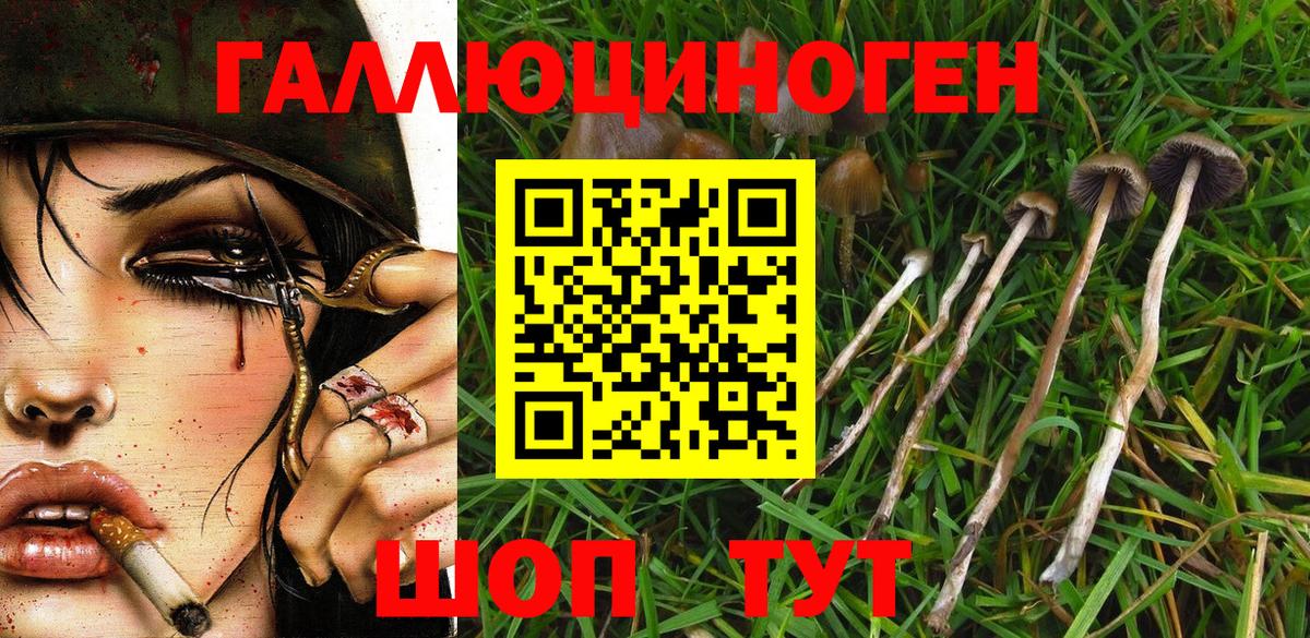 Псилоцибиновые грибы Psilocybine cubensis  Псилоцибиновые грибы мухоморы  Вход с VPN  Карасук 